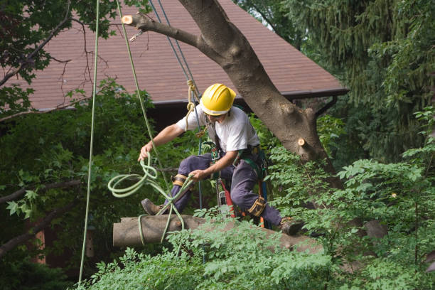 Mulching Services in Bradford, RI